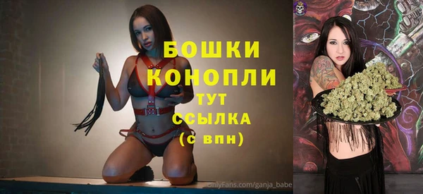 винт Дмитриев