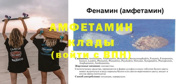 винт Дмитриев