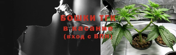 винт Дмитриев