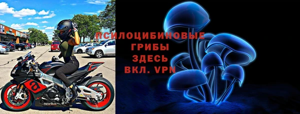 винт Дмитриев